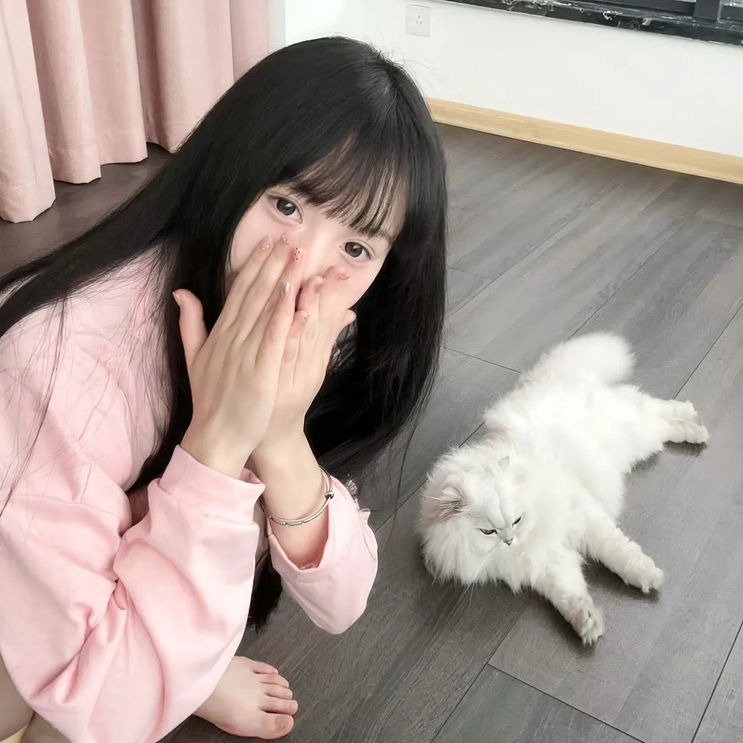 野·良犬粤语